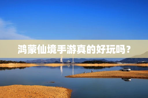 鸿蒙仙境手游真的好玩吗？