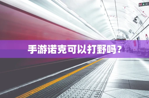 手游诺克可以打野吗？