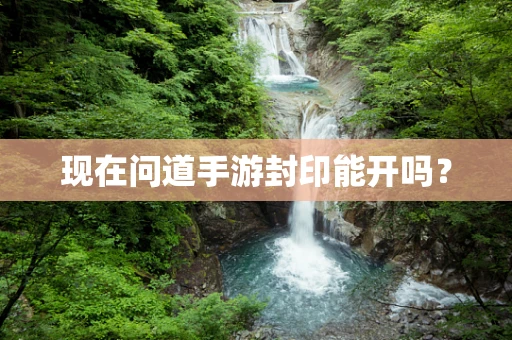 现在问道手游封印能开吗？