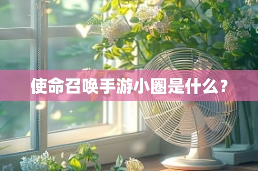 使命召唤手游小圈是什么？