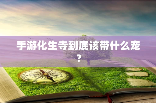 手游化生寺到底该带什么宠？