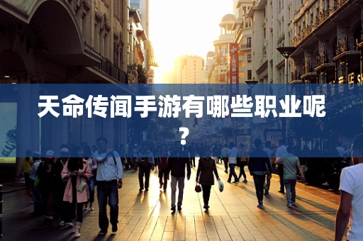 天命传闻手游有哪些职业呢？