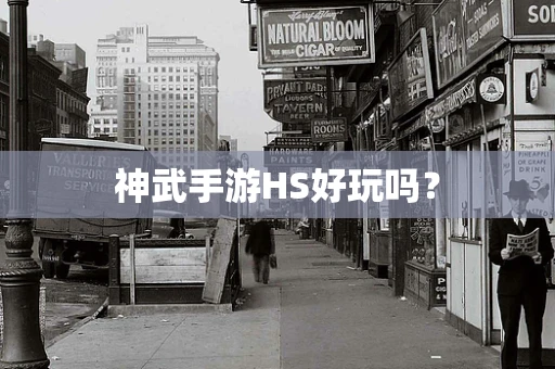 神武手游HS好玩吗？