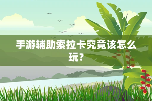 手游辅助索拉卡究竟该怎么玩？