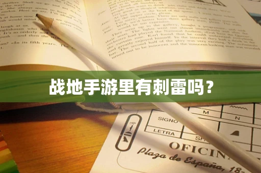 战地手游里有刺雷吗？