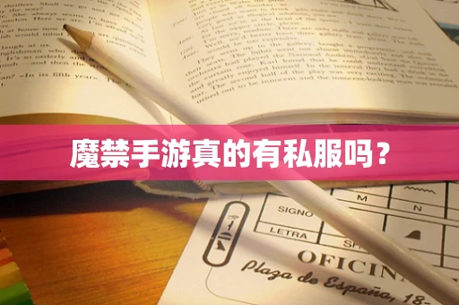 魔禁手游真的有私服吗？