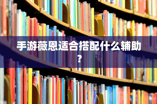 手游薇恩适合搭配什么辅助？