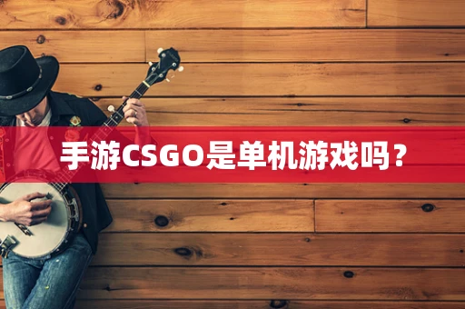 手游CSGO是单机游戏吗？