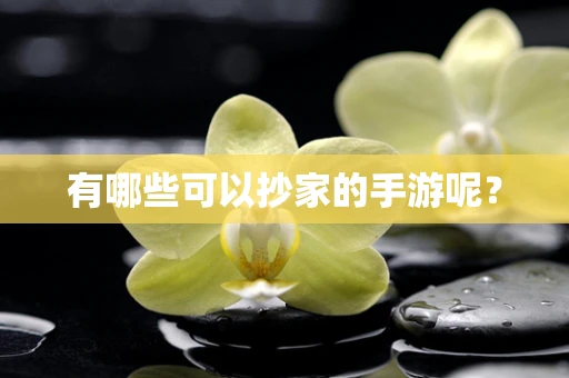 有哪些可以抄家的手游呢？