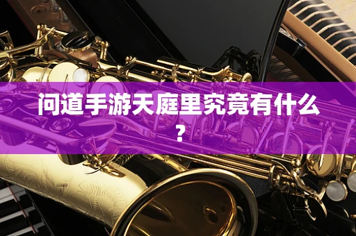 问道手游天庭里究竟有什么？