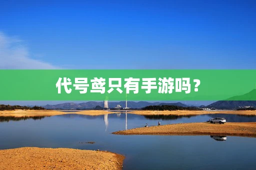 代号鸢只有手游吗？
