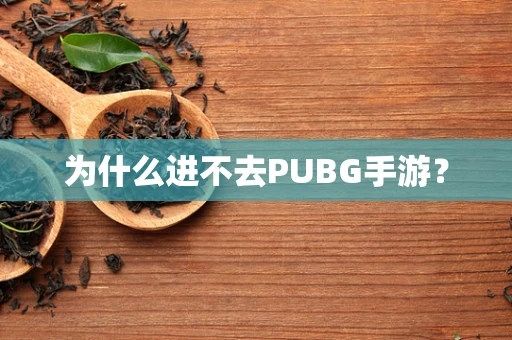 为什么进不去PUBG手游？