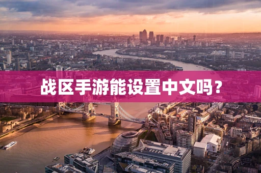 战区手游能设置中文吗？