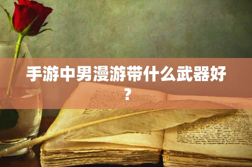 手游中男漫游带什么武器好？