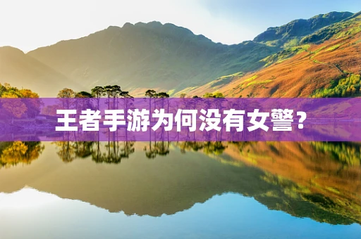 王者手游为何没有女警？
