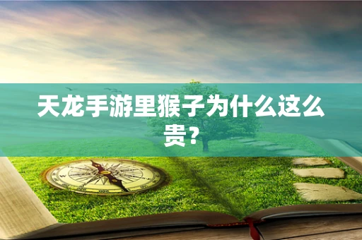 天龙手游里猴子为什么这么贵？