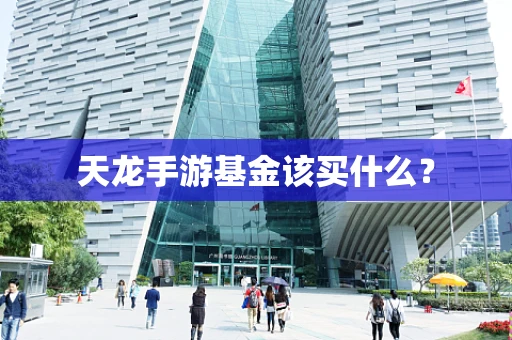 天龙手游基金该买什么？