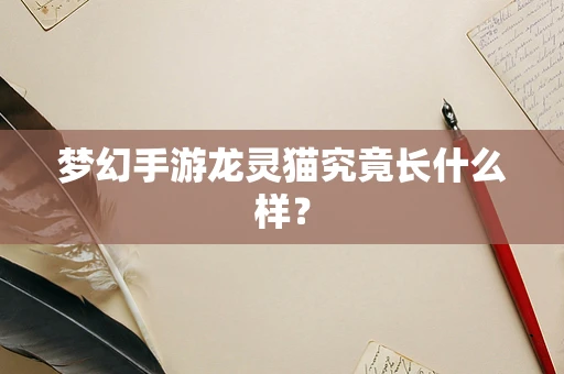 梦幻手游龙灵猫究竟长什么样？
