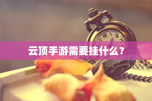 云顶手游需要挂什么？