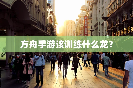 方舟手游该训练什么龙？