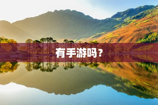有手游吗？