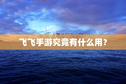 飞飞手游究竟有什么用？