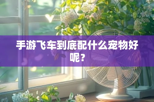 手游飞车到底配什么宠物好呢？
