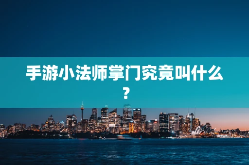 手游小法师掌门究竟叫什么？