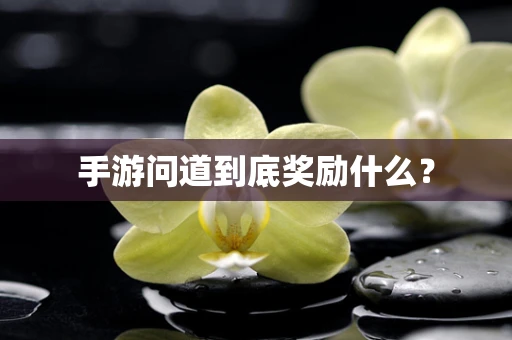 手游问道到底奖励什么？