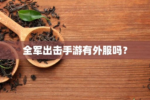全军出击手游有外服吗？