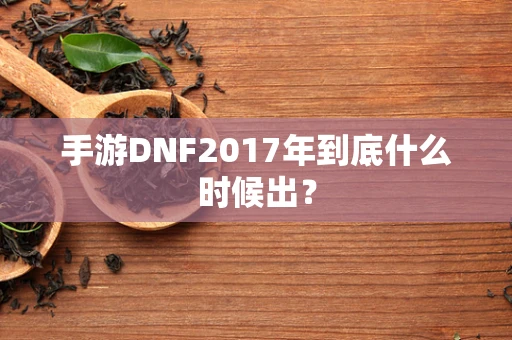 手游DNF2017年到底什么时候出？