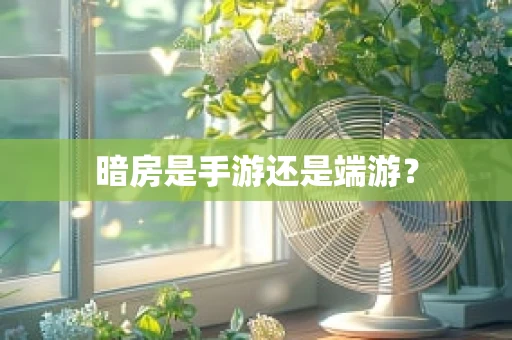 暗房是手游还是端游？