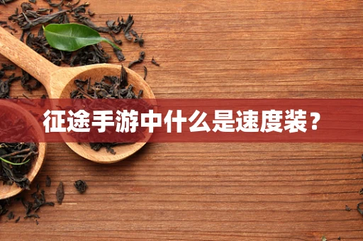 征途手游中什么是速度装？