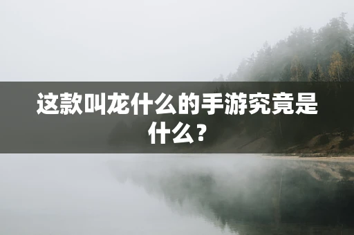 这款叫龙什么的手游究竟是什么？