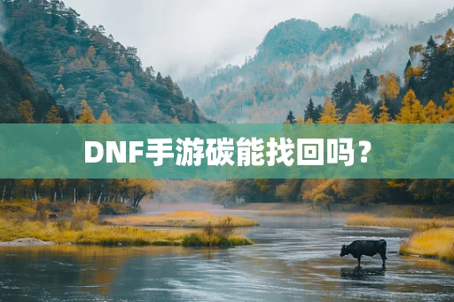 DNF手游碳能找回吗？