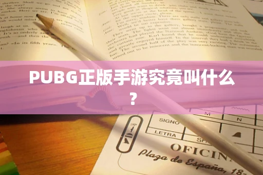 PUBG正版手游究竟叫什么？