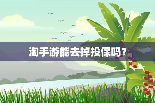 淘手游能去掉投保吗？