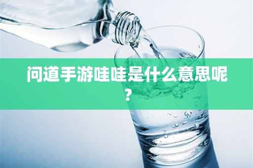 问道手游哇哇是什么意思呢？