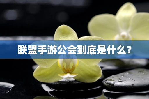 联盟手游公会到底是什么？