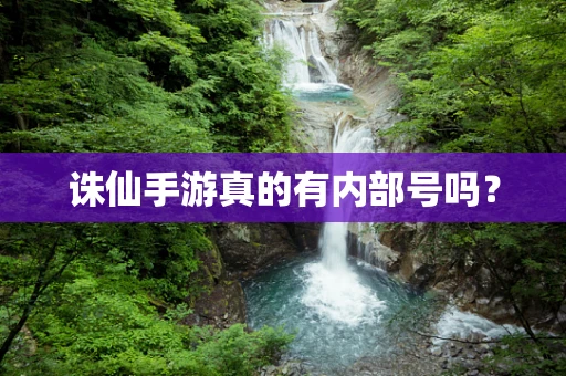 诛仙手游真的有内部号吗？