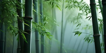 武林外传手游真的可以改名吗？